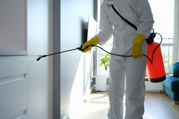 Best Fumigation Services  in Mount Vernon, IN